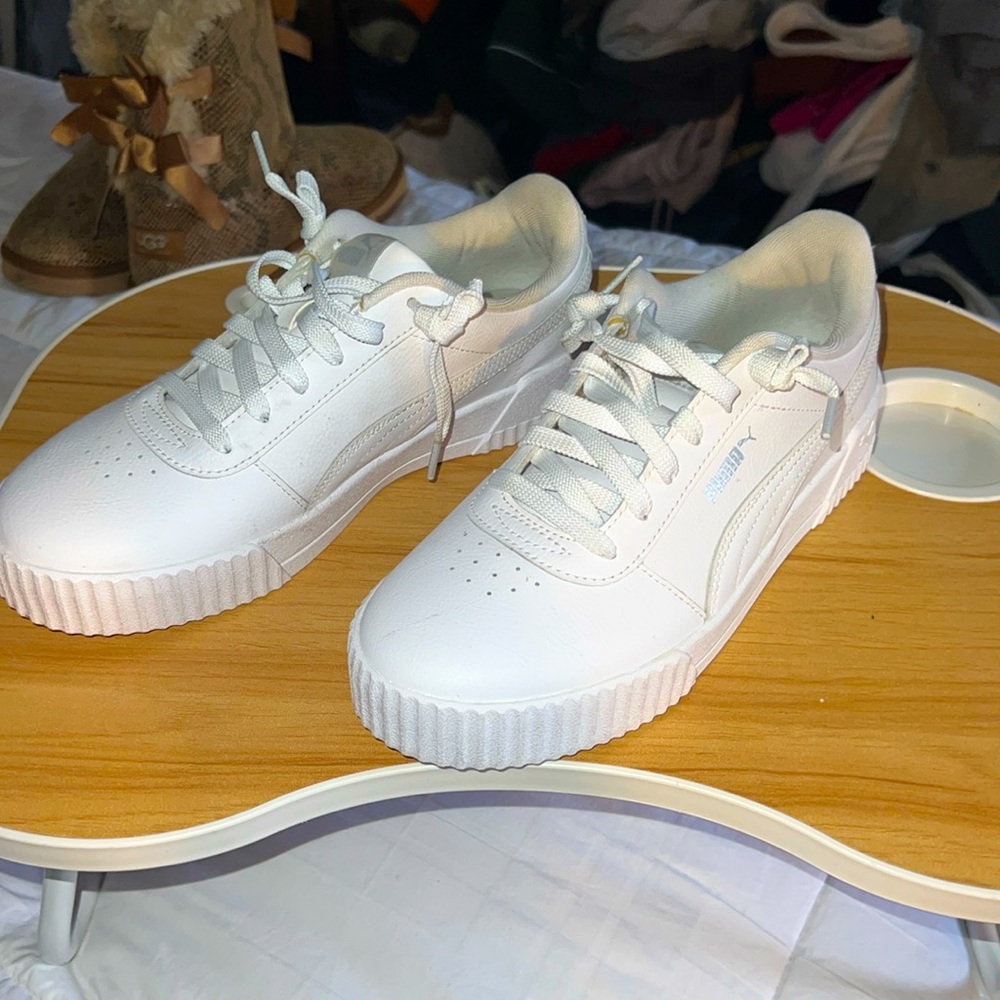 White puma’s